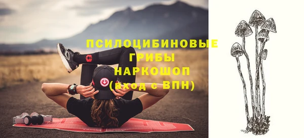 мяу мяу мука Горняк