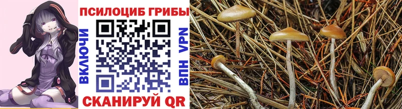 Купить  Поворино  Галлюциногенные грибы ЛСД 
