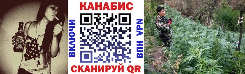 Купить закладки  Поворино  Канабис планчик 